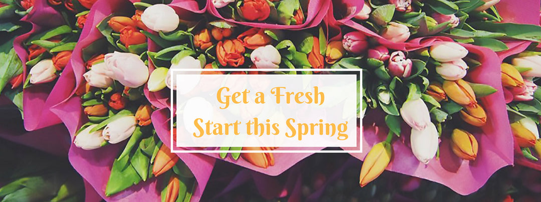 Spring Equinox Renewal