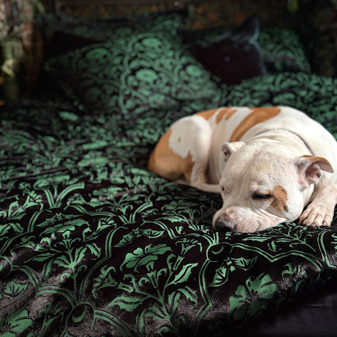 Sin in Linen's Velvet Datura bedding. Green gothic botanical pattern featuring datura blooms and bats in a flocked velvet design. Dark, witchy duvet cover.