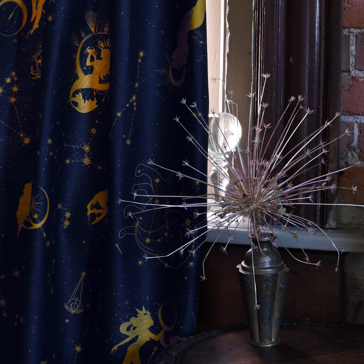 Heavenly Bodies Shower Curtain