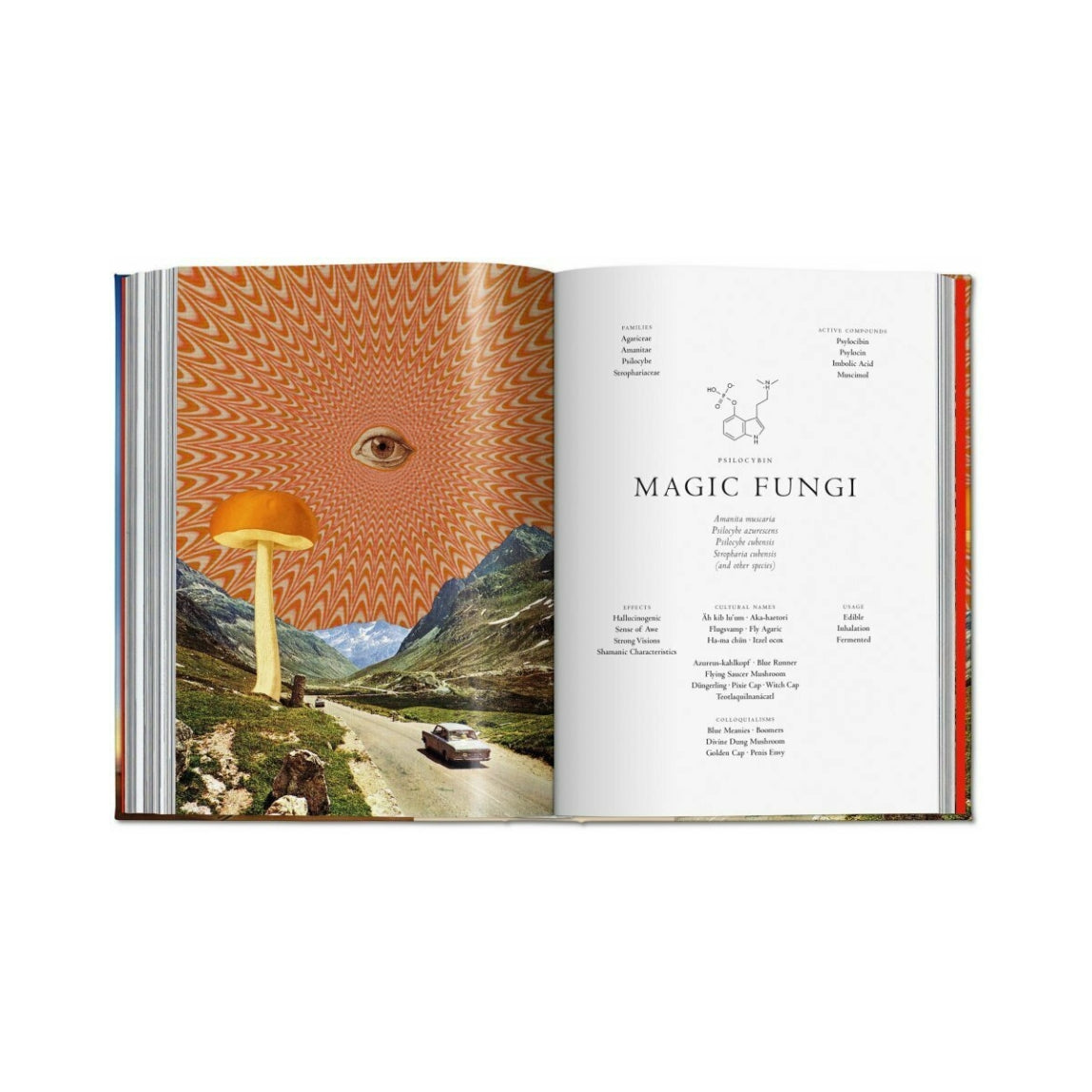 Plant Magick – Sin in Linen